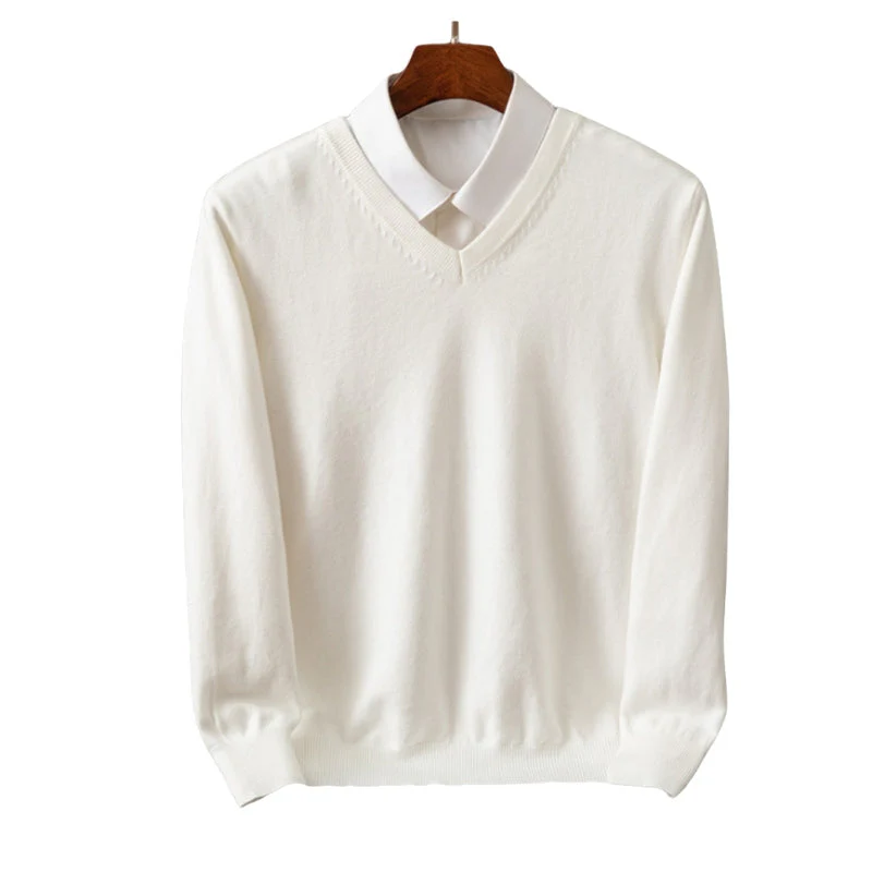 Leon – Cashmere Sweater with V-Neck and Long Sleeves - Image 8