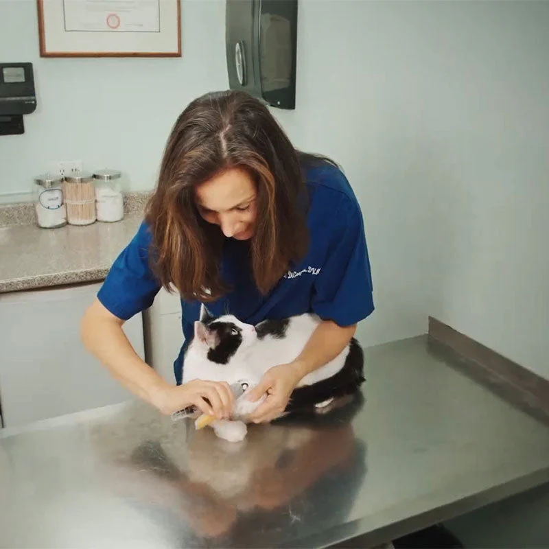 PawBright – Portable Animal Nail Clippers with LED Light - Image 3