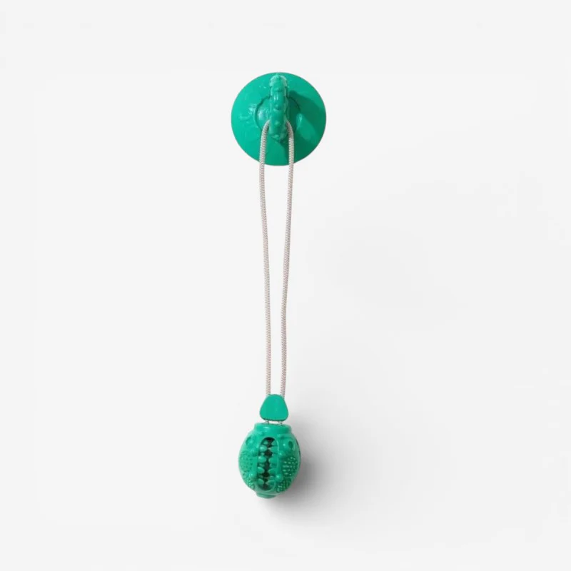 PawPlay – Interactive Dog Toy with Suction Cup & Texture - Image 3