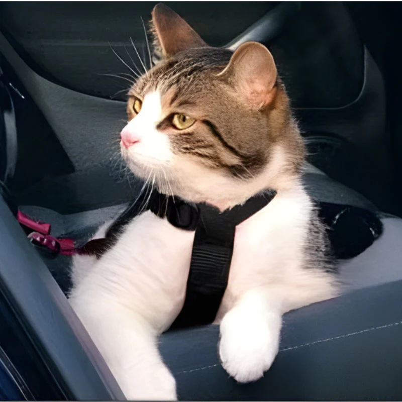 PawSecure – Adjustable Seat Belt for Dogs and Cats - Image 8