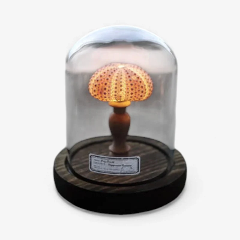 SeaLume – Mini LED Glass Bell Jar Lamp with Sea Mushroom Design - Image 2