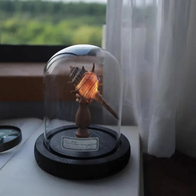 SeaLume – Mini LED Glass Bell Jar Lamp with Sea Mushroom Design - Image 5