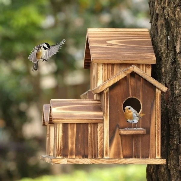 SkyNest – Hanging birdhouse with 5 entrances - Image 3